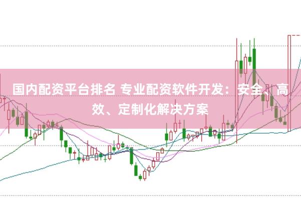 国内配资平台排名 专业配资软件开发：安全、高效、定制化解决方案