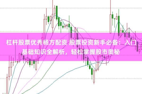 杠杆股票优秀杨方配资 股票投资新手必备：入门基础知识全解析，轻松掌握股市奥秘