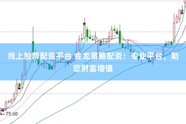 线上股票配资平台 金龙策略配资：专业平台，助您财富增值