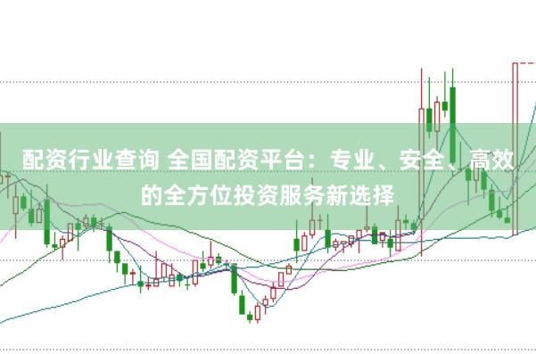 配资行业查询 全国配资平台：专业、安全、高效的全方位投资服务新选择