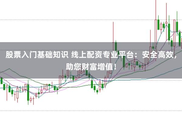 股票入门基础知识 线上配资专业平台：安全高效，助您财富增值！