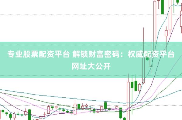 专业股票配资平台 解锁财富密码：权威配资平台网址大公开