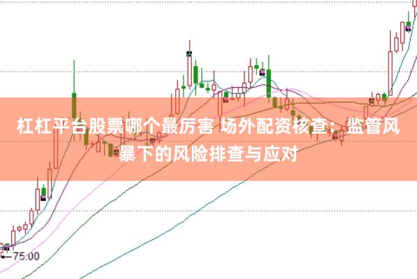 杠杠平台股票哪个最厉害 场外配资核查：监管风暴下的风险排查与应对