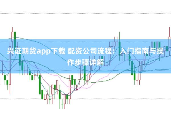 兴证期货app下载 配资公司流程：入门指南与操作步骤详解