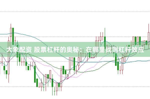 大象配资 股票杠杆的奥秘：在哪里找到杠杆效应