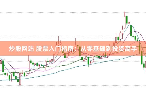 炒股网站 股票入门指南：从零基础到投资高手