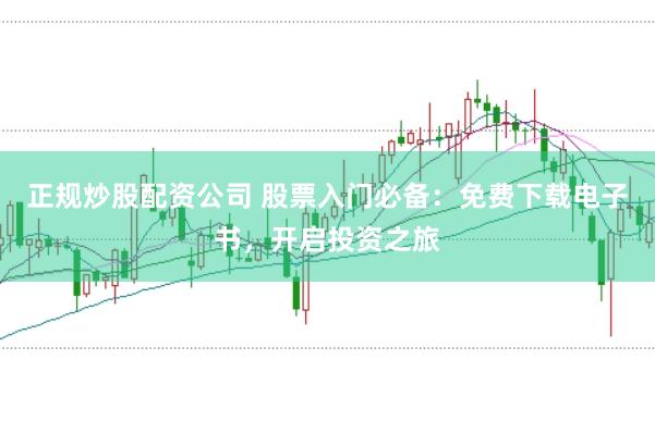 正规炒股配资公司 股票入门必备：免费下载电子书，开启投资之旅