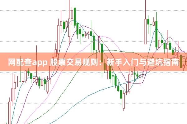 网配查app 股票交易规则：新手入门与避坑指南
