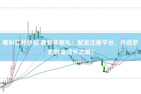 啥叫杠杆炒股 春蛇年献礼：配资注册平台，开启您的财富增长之旅！