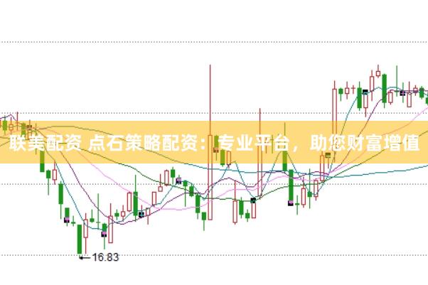 联美配资 点石策略配资：专业平台，助您财富增值