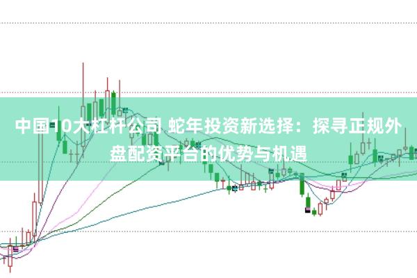中国10大杠杆公司 蛇年投资新选择:探寻正规外盘配资平台的优势与机遇