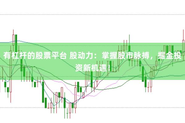 有杠杆的股票平台 股动力：掌握股市脉搏，掘金投资新机遇！